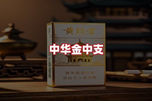 中华金中支